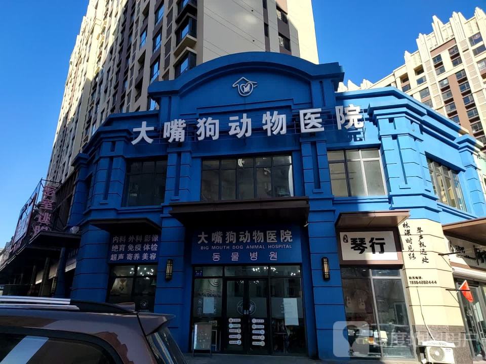 大嘴狗动物医院