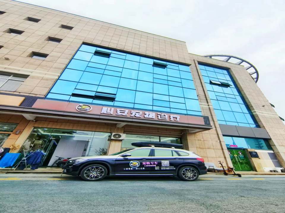 心安宠物医院·内窥镜·心脏彩超·急重症