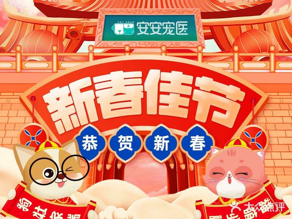 安安宠物医院(武阳大道分院)