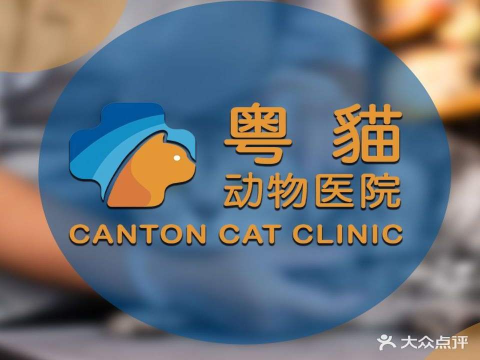 粤猫动物医院·猫咪健康管理中心
