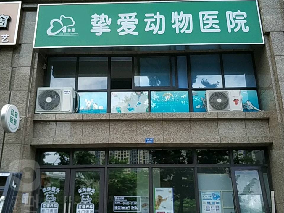 挚爱动物医院·骨科·心脏·异宠