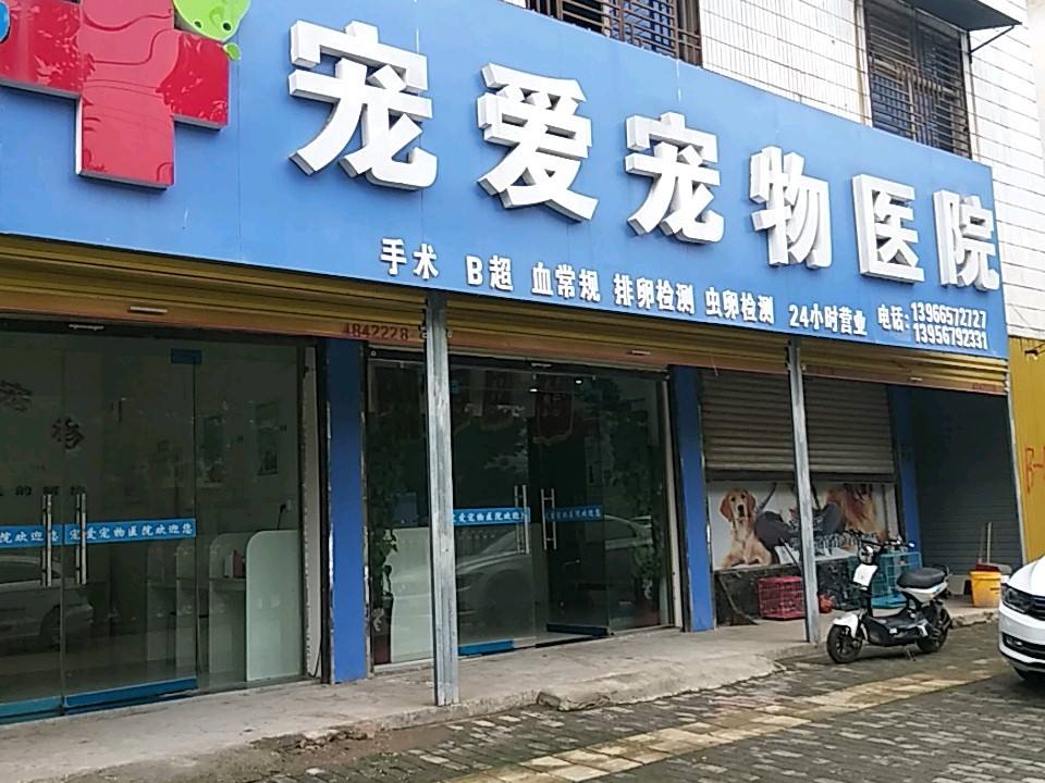 宠爱宠物医院(东顺河街店)