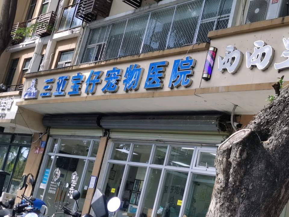 宝仔宠物医院
