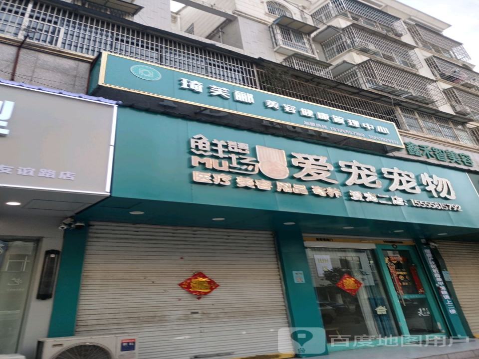 爱宠&宠物