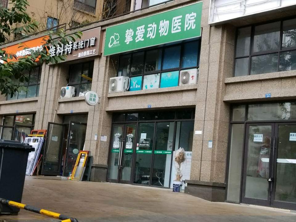挚爱动物医院·骨科·心脏·异宠