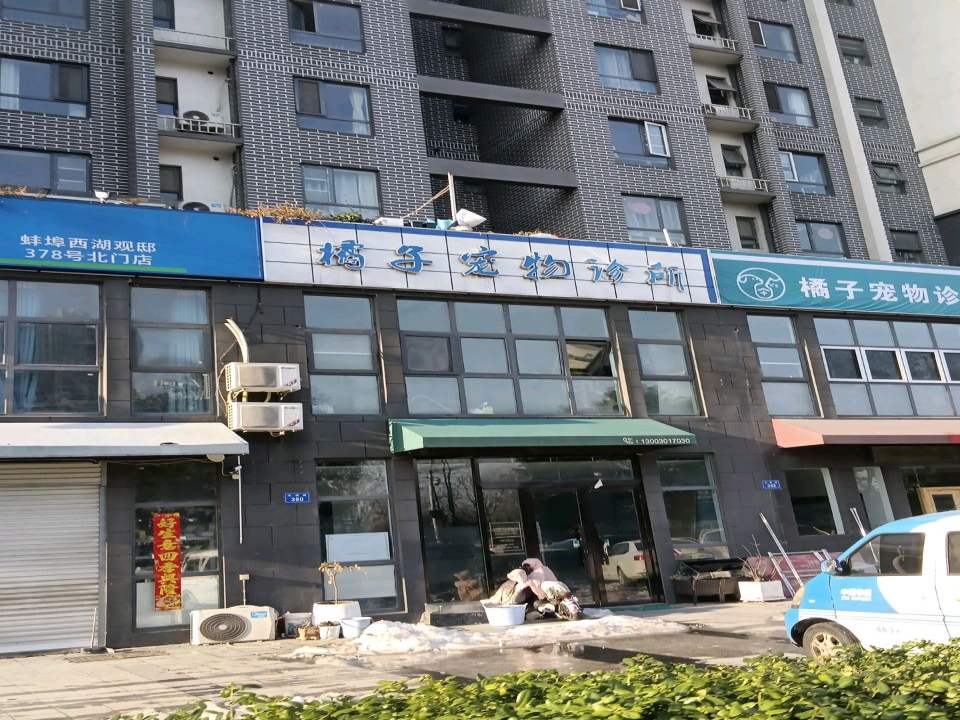 橘子宠物诊所