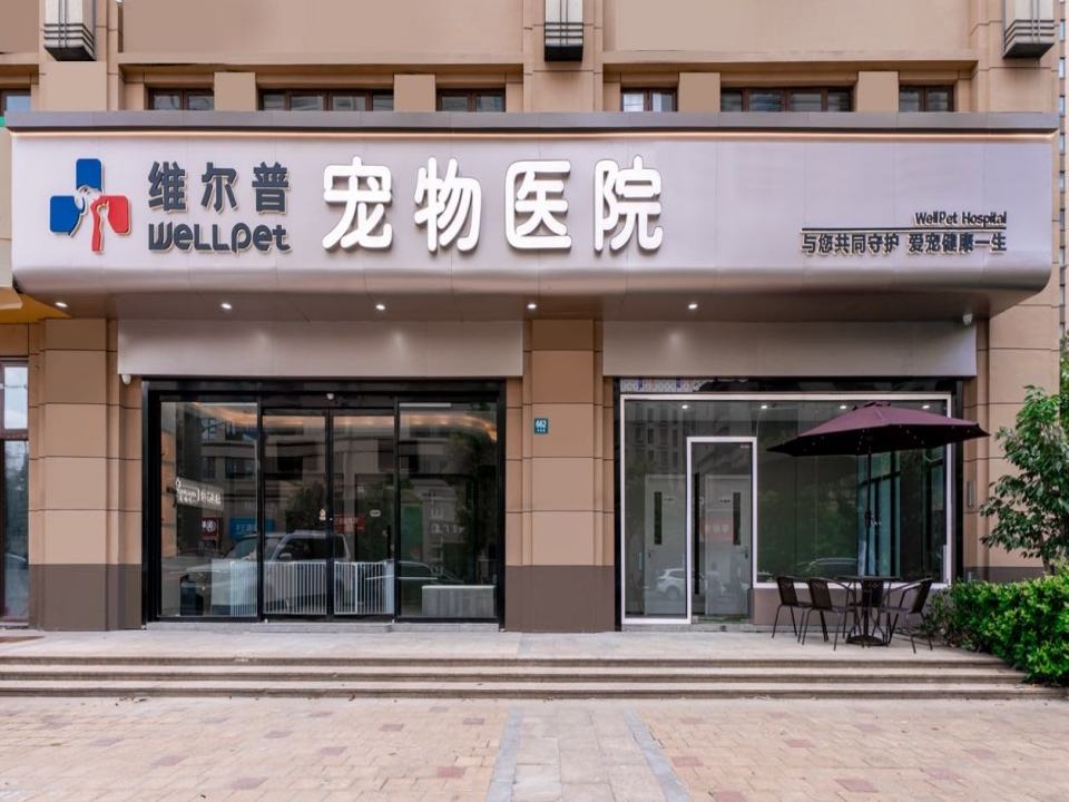 维尔普24小时宠物综合医院·犬猫全科·心脏彩超·骨科