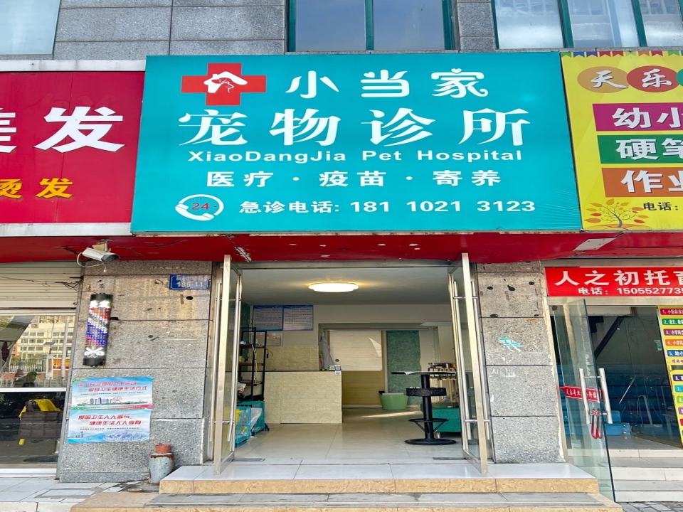 蚌埠小当家宠物诊所