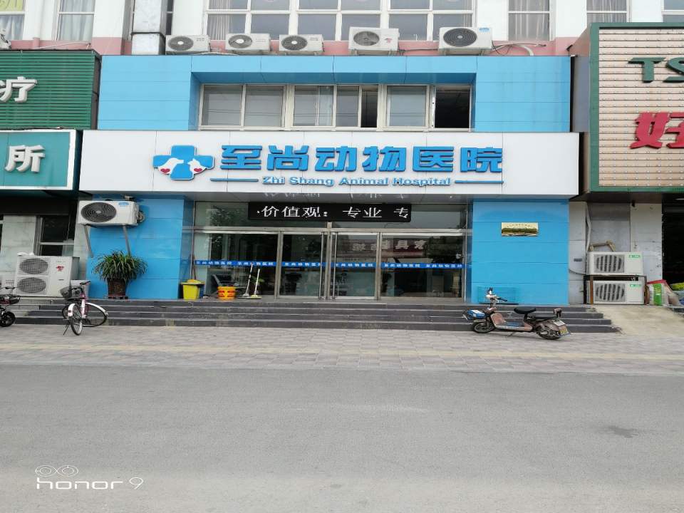 至尚动物医院(翟营南大街店)