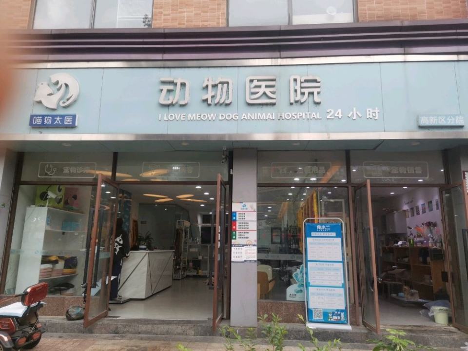 喵狗太医动物医院·猫科·异宠专科·骨科·24小时