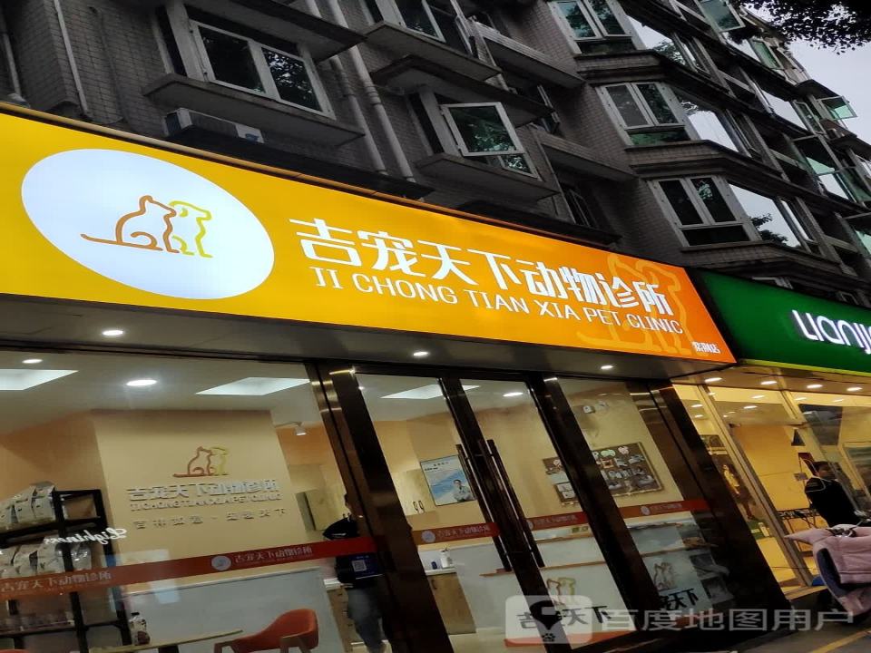 吉宠天下动物诊所(紫荆店)