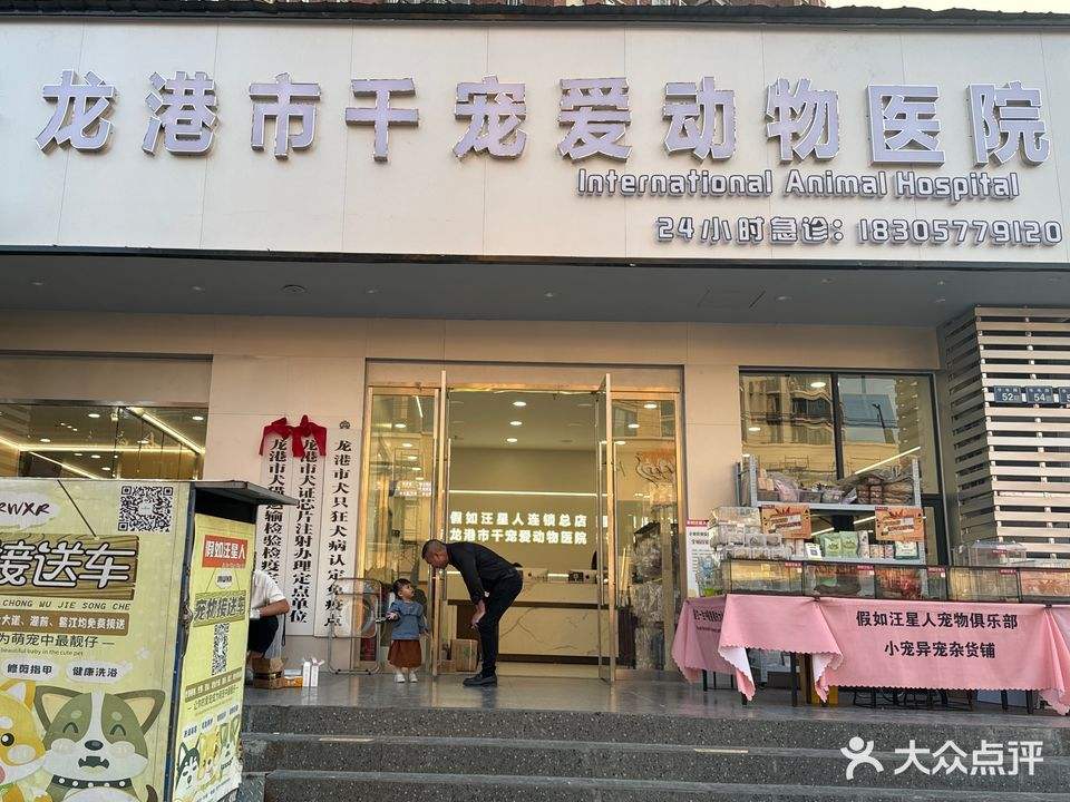 龙港市千宠爱动物医院·心脏·骨科·异宠
