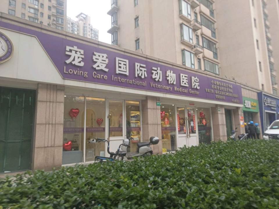 宠爱国际动物医院·疑难骨科(中山公园店)
