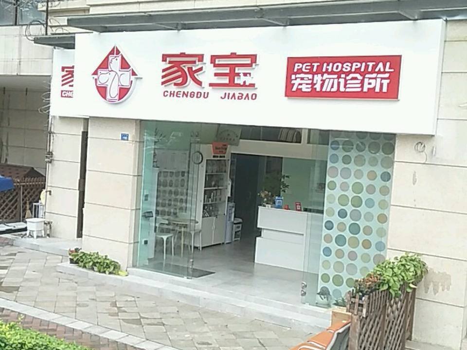 家宝动物医院·骨科·心脏·内窥镜