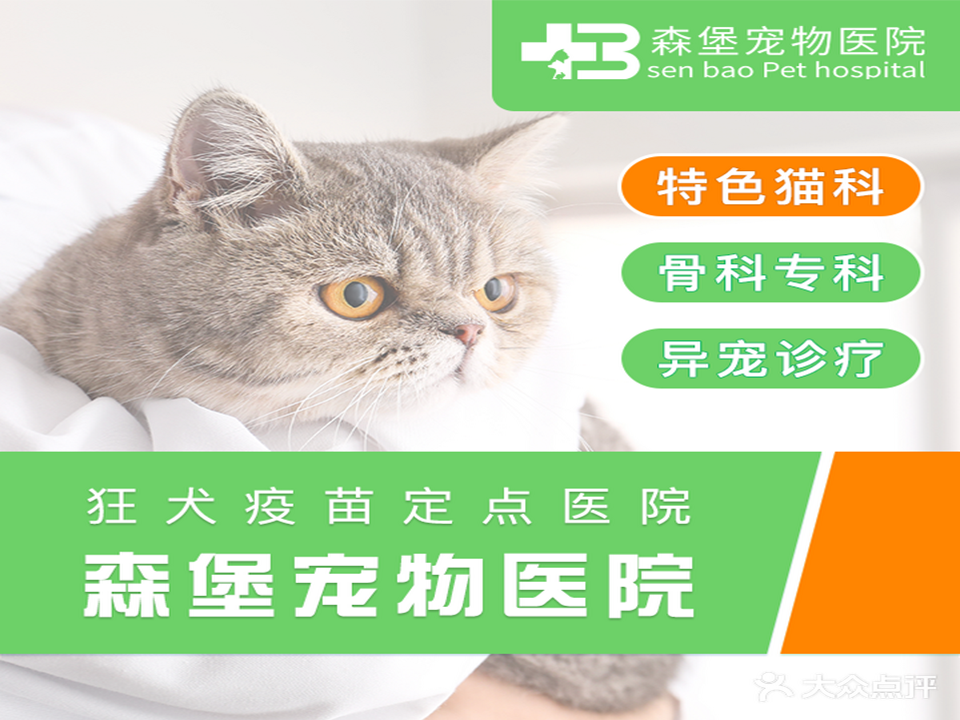 森堡宠物医院·猫专科·异宠诊疗·特色眼科