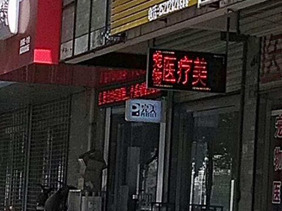 天使宠物医院(兴业街店)