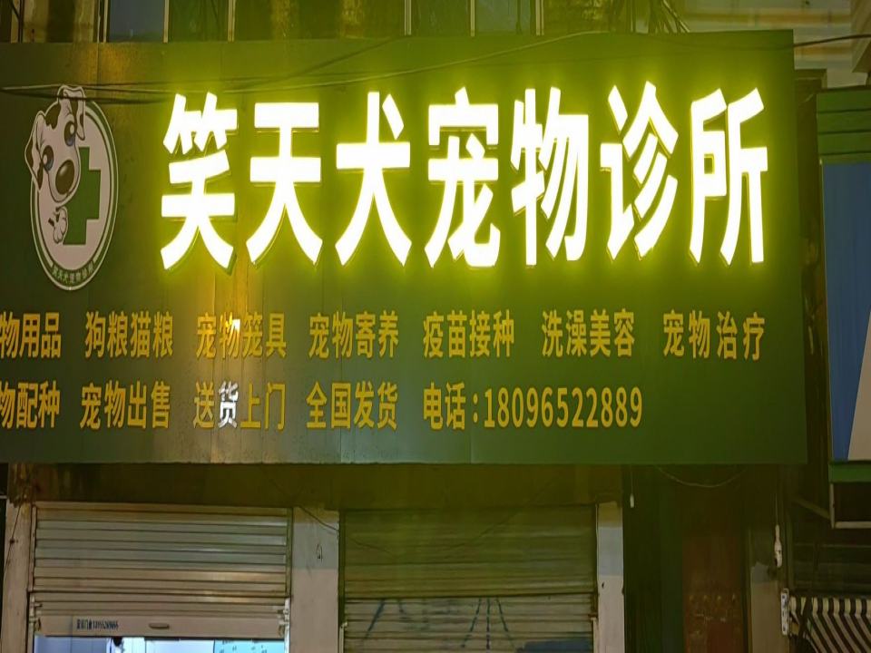 笑天犬宠物店