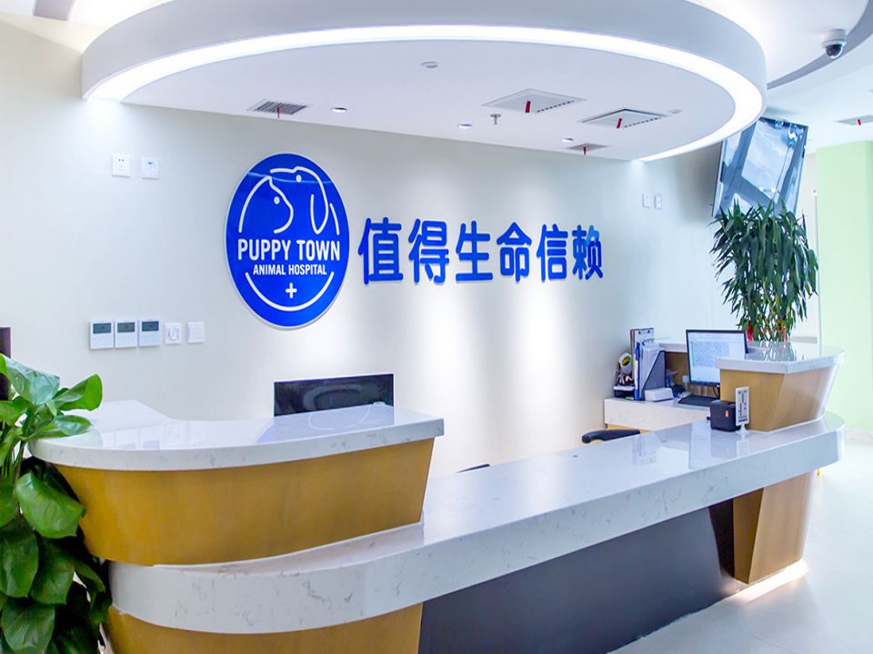 芭比堂动物医院(24h温州转诊中心)