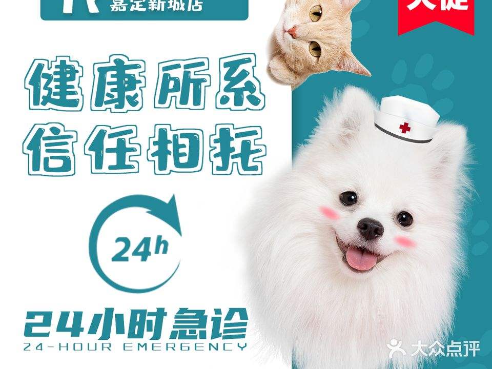 建新宠物医院·急重症·夜诊·狂犬免疫点(嘉定新城店)