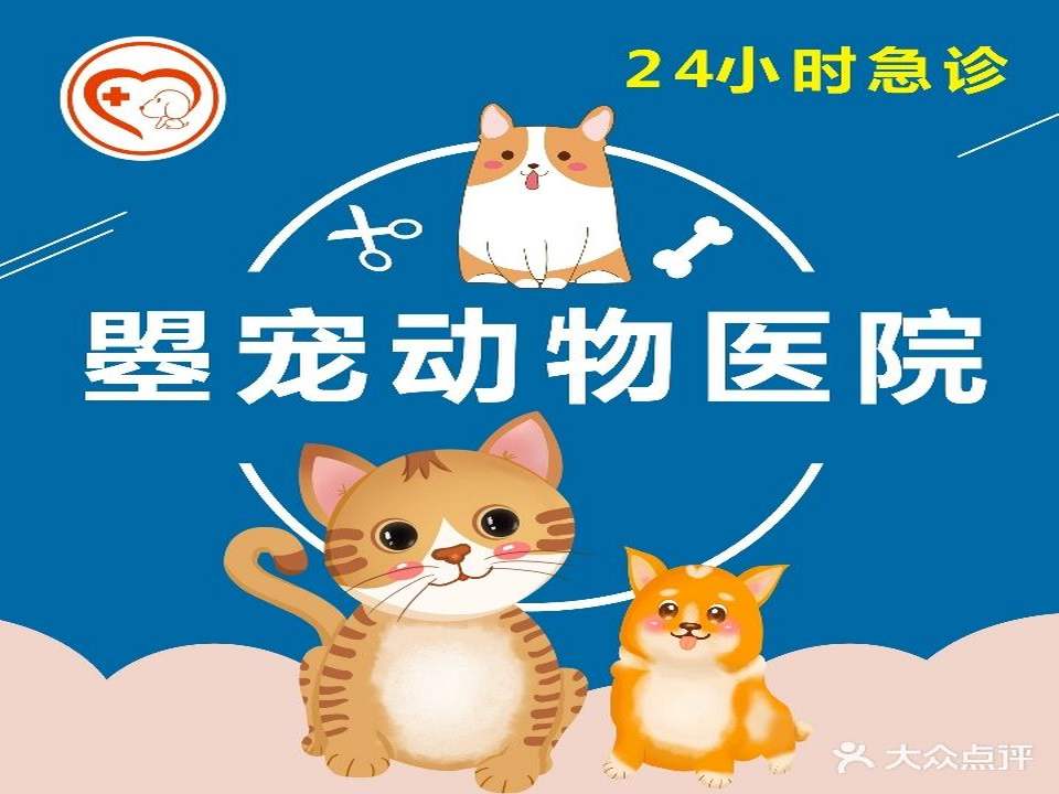 曌宠宠物医院·24h急重症转诊中心