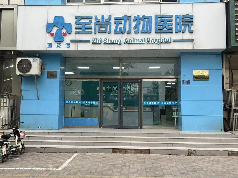 至尚动物医院(翟营南大街店)