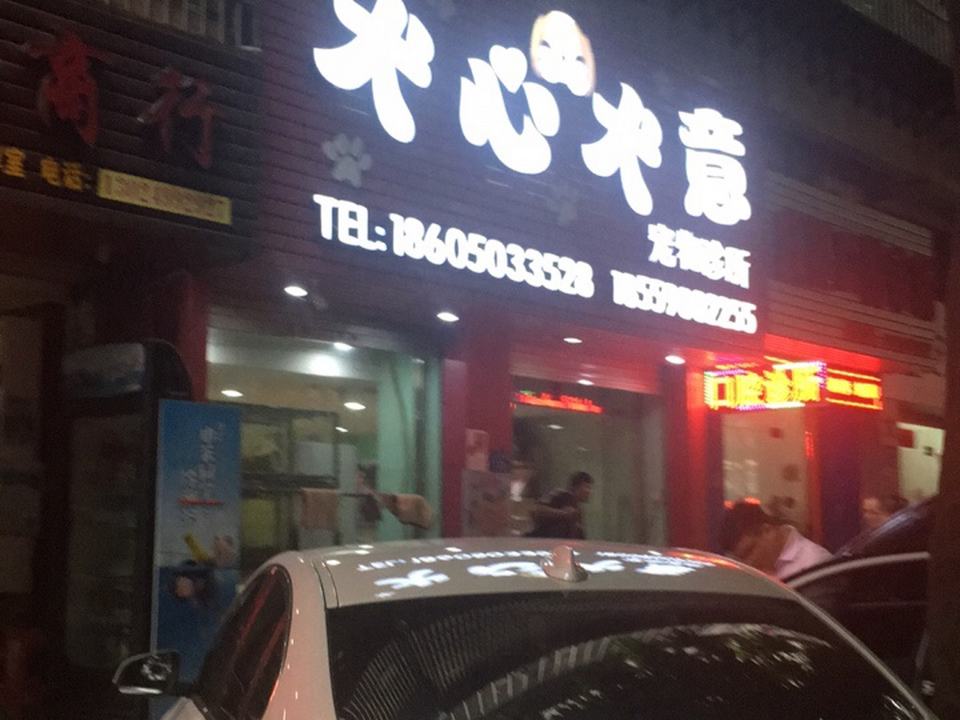 犬心犬意宠物诊所