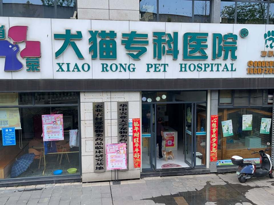 肖荣犬猫专科医院