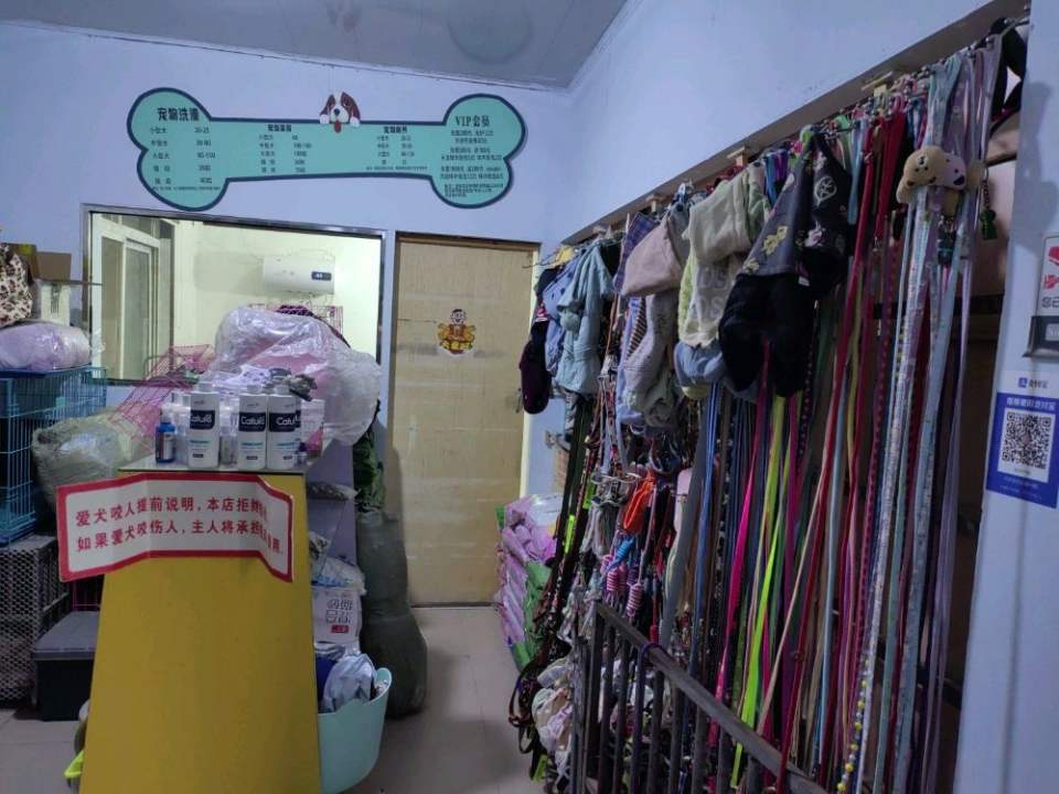 笑天犬宠物店