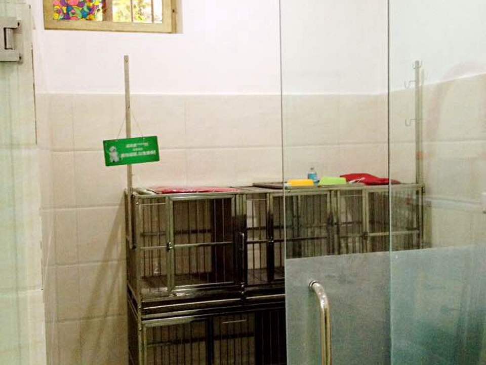 林静动物医院