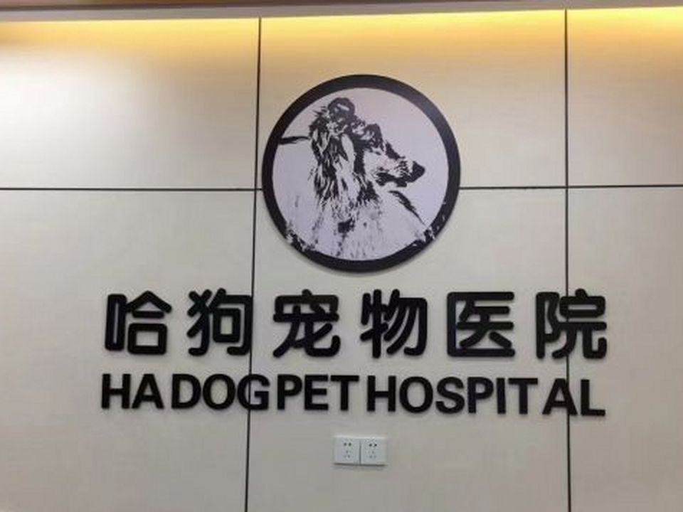 哈狗宠物医院