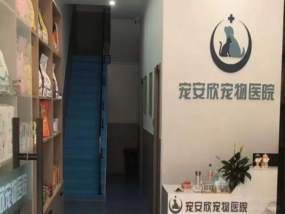 宠安欣宠物医院