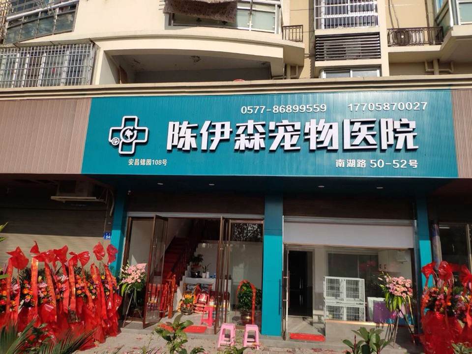 陈伊森宠物医疗