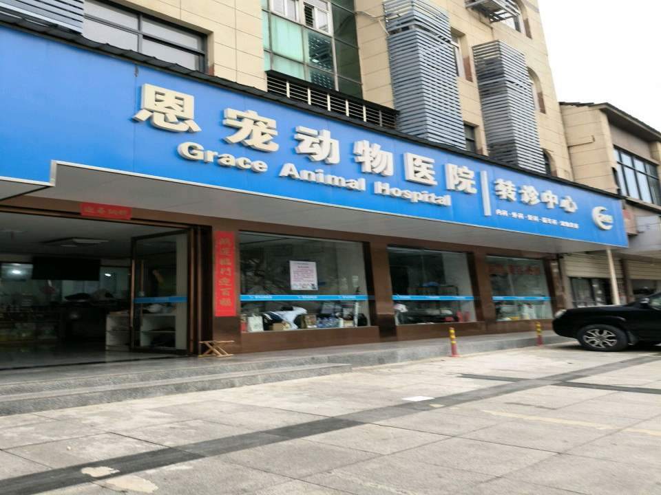 恩宠动物医院