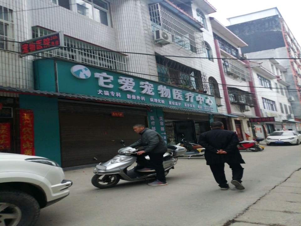 它爱宠物医疗中心