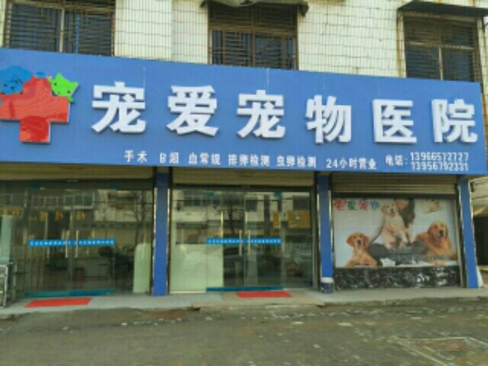 宠爱宠物医院(东顺河街店)