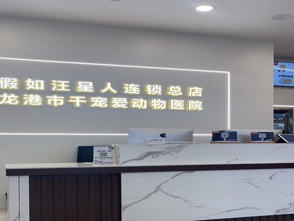 龙港市千宠爱动物医院·心脏·骨科·异宠