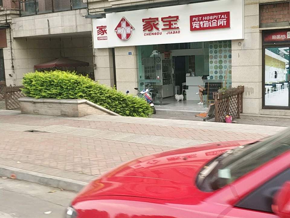 家宝动物医院·骨科·心脏·内窥镜