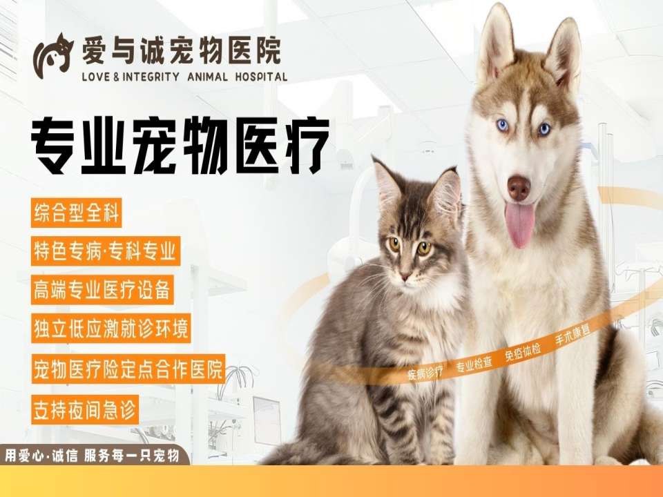 南京爱与诚宠物医院