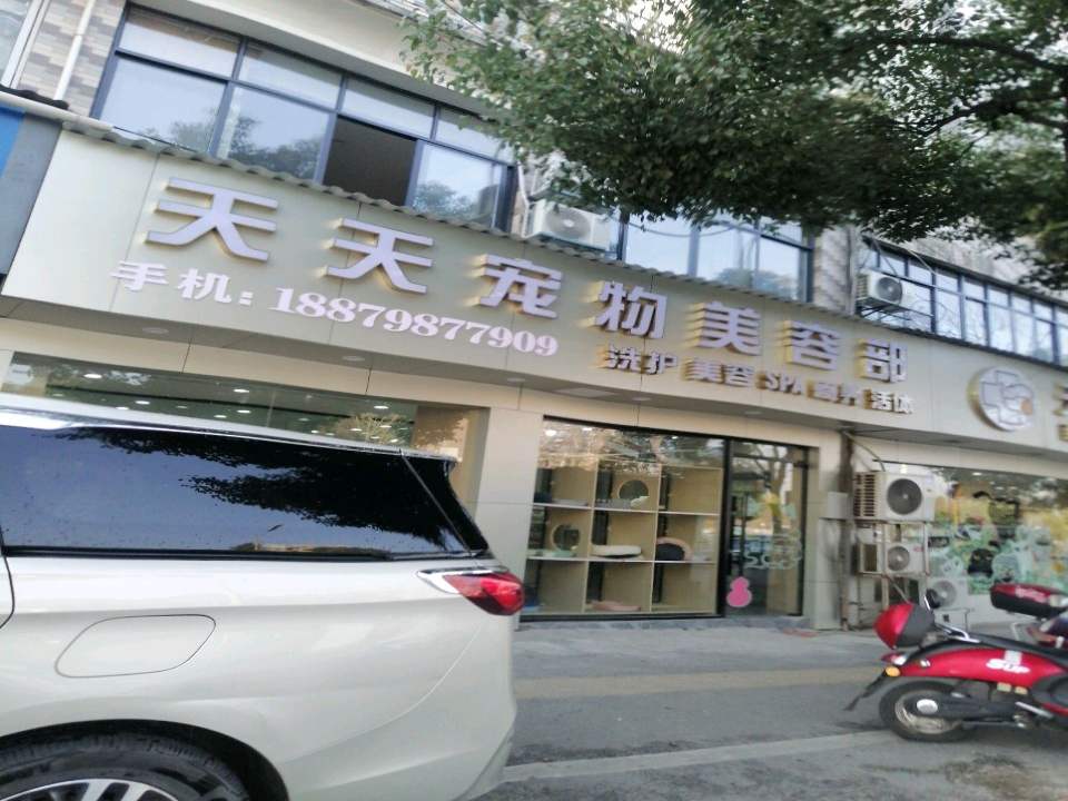 天天动物医院·骨科·猫科·心脏·异宠