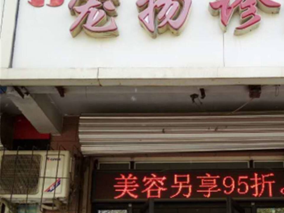 卡拉宠物诊所(东岗路店)