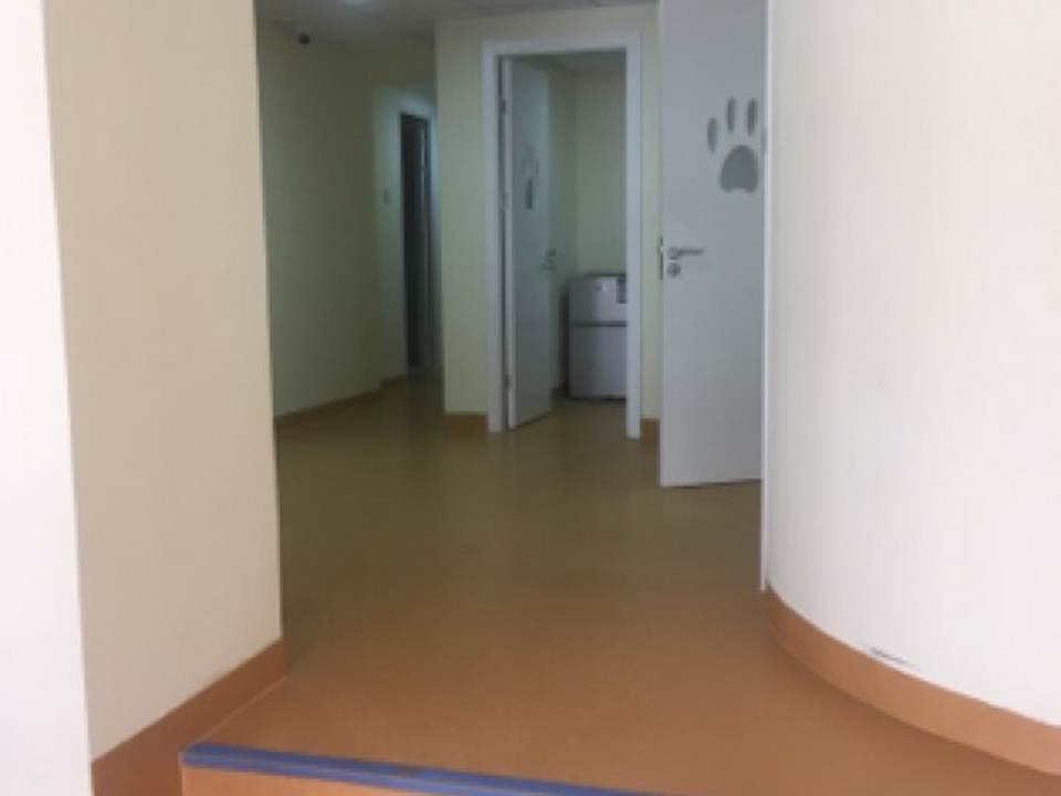 芭比堂动物医院(塔北路店)