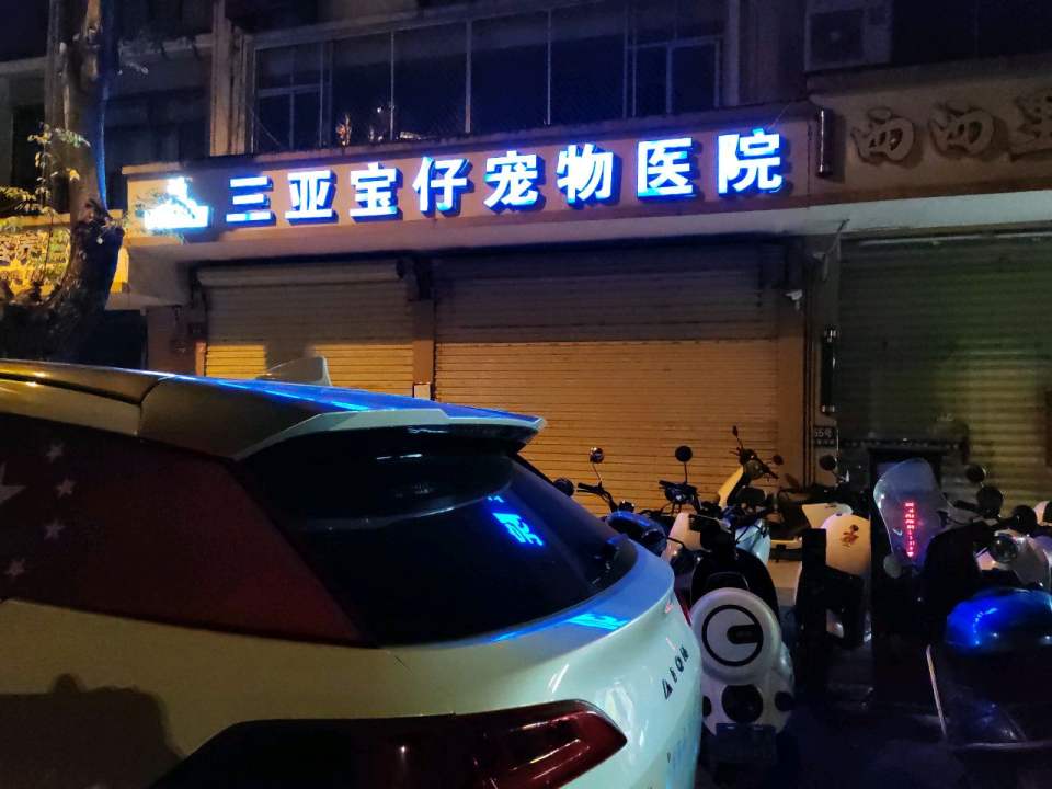 宝仔宠物医院