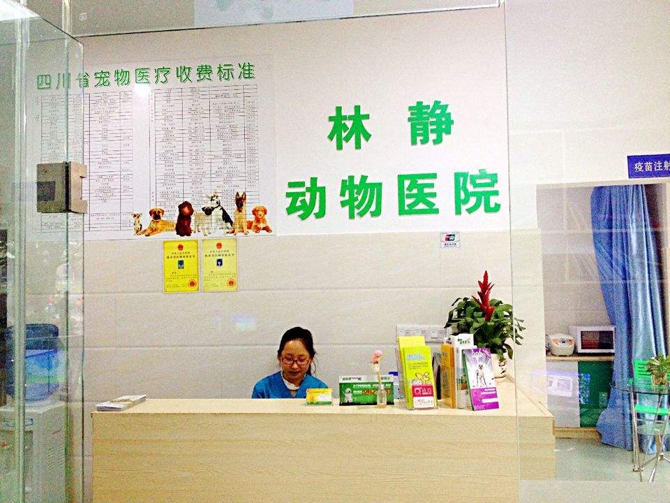 林静动物医院