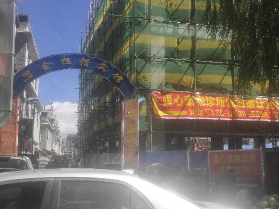 爱心宠物诊所(吉培路店)