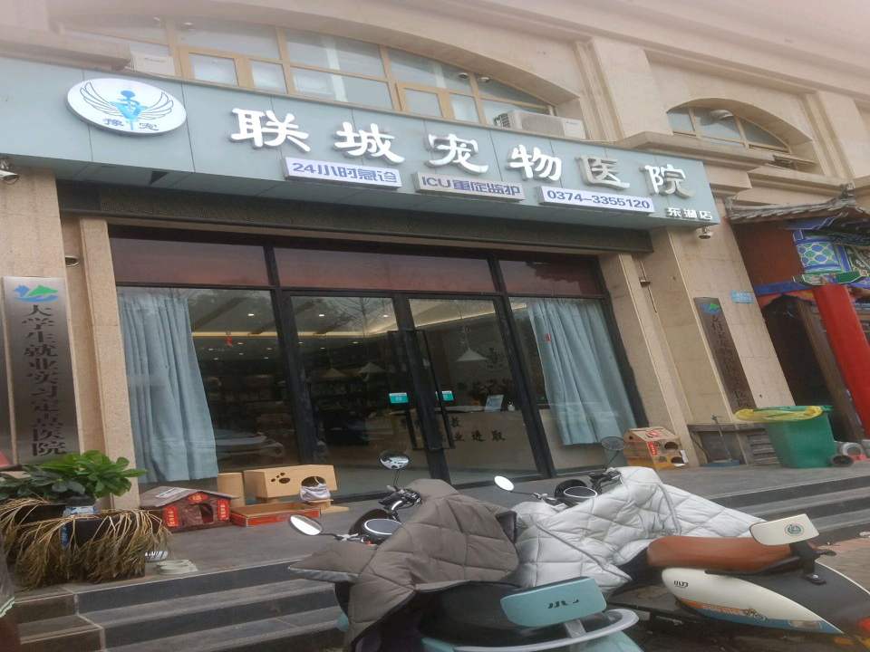 豫宠联城宠物医院·猫科·眼科·内窥镜影像中心(东城区店)