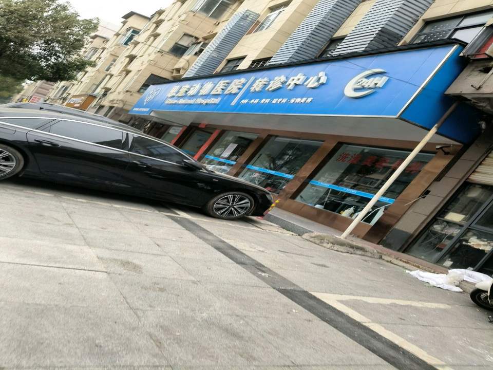 恩宠动物医院