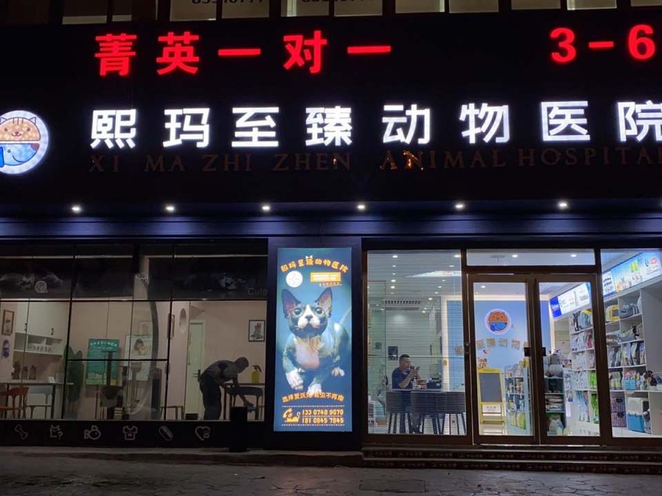 湖南熙玛至臻动物医院·MRI核磁·CT影像·ISFM国际猫友好·疑难眼科