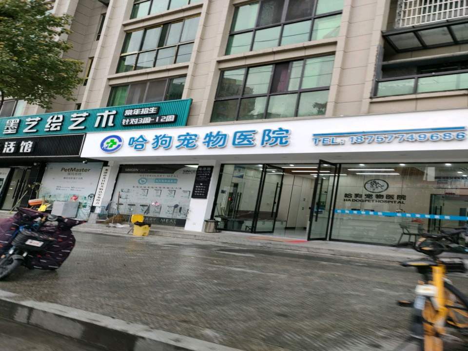 哈狗宠物医院