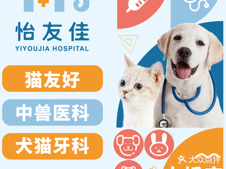 怡友佳动物医院·猫友好·中兽医理疗康复中心(土桥店)