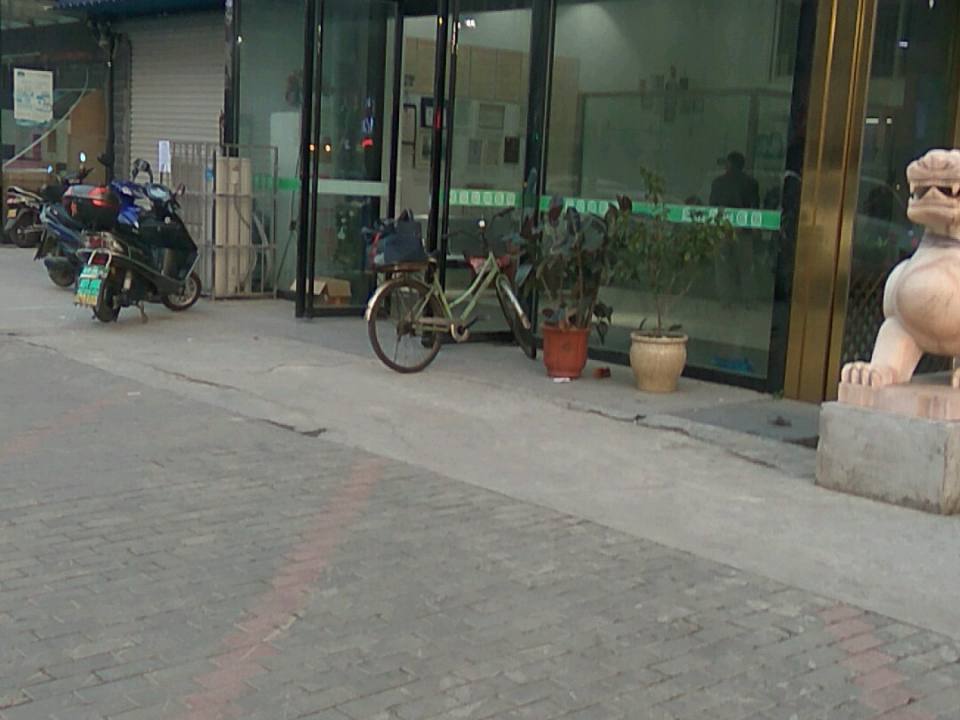 宠爱国际动物医院·疑难骨科(红旗一路店)